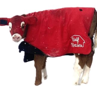 Kalf Kozie Calf/Foal Blanket